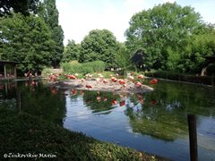 Дрезденский зоопарк