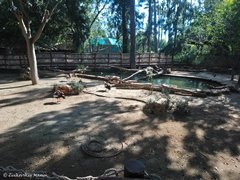 Зоопарк в Лимассоле, Кипр