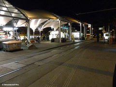 Вена. Трамвайная остановка