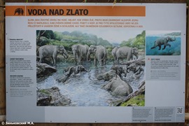 Зоопарк в Праге: Вода для слонов дороже золота